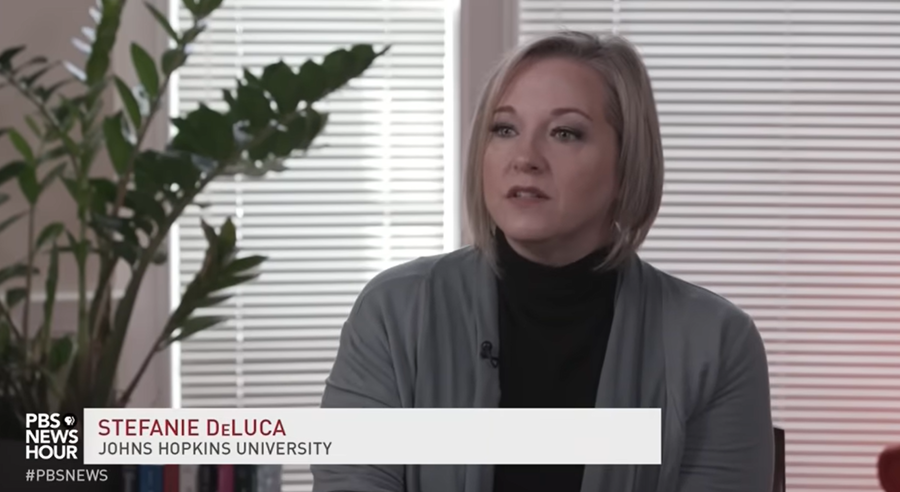 Screenshot of the Youtube interview with Stefanie DeLuca